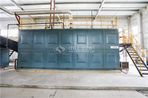 2000萬大卡燃生物質導熱油爐企業(yè)