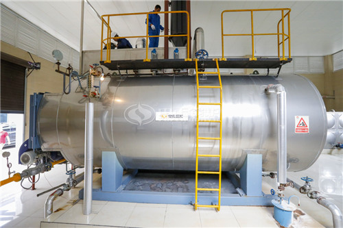 2T燃生物質導熱油爐多少錢